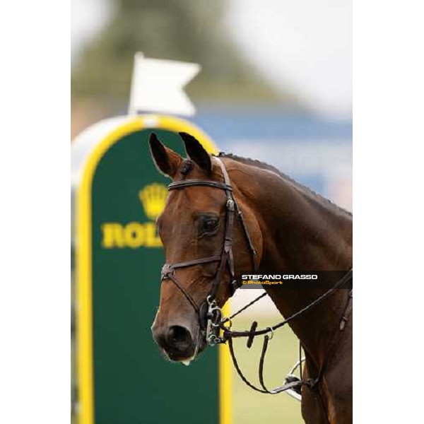 close up for Shutterfly winner of the italian Global Champions Tour leg Arezzo, 13th sept. 2008 ph. Stefano Grasso