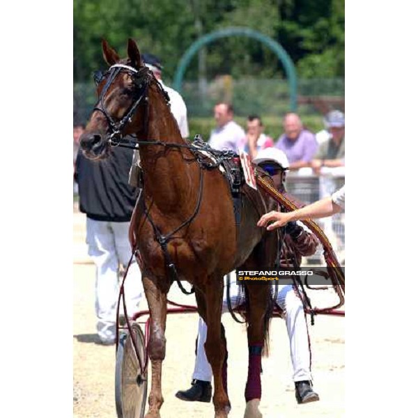Jean Michel Bazire with General du Lupin Grand National du Trot- Hippodrome de Bellevue-La-Foret Laval 9th june 2004 ph.Stefano Grasso