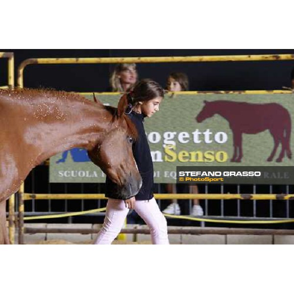 42.a Mostra Nazionale del Cavallo di Cittˆ di Castello Cittˆ di Castello, 14th sept. 2008 ph. Stefano Grasso