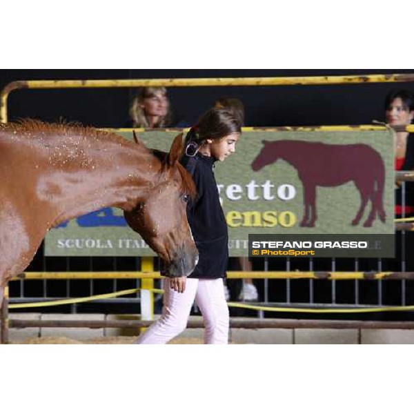 42.a Mostra Nazionale del Cavallo di Cittˆ di Castello Cittˆ di Castello, 14th sept. 2008 ph. Stefano Grasso