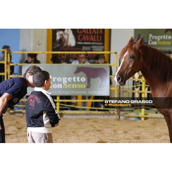 42.a Mostra Nazionale del Cavallo di Cittˆ di Castello Cittˆ di Castello, 14th sept. 2008 ph. Stefano Grasso
