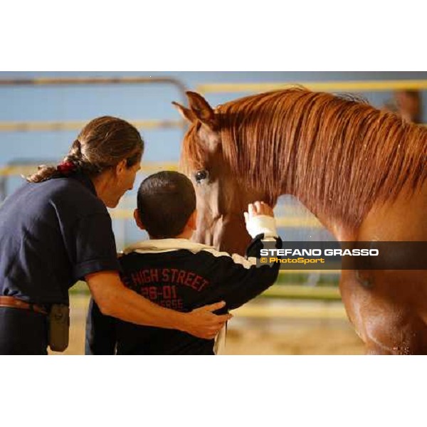 42.a Mostra Nazionale del Cavallo di Cittˆ di Castello Cittˆ di Castello, 14th sept. 2008 ph. Stefano Grasso