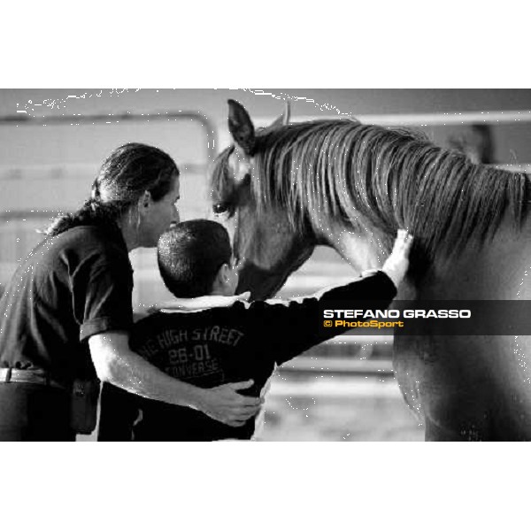 42.a Mostra Nazionale del Cavallo di Cittˆ di Castello Cittˆ di Castello, 14th sept. 2008 ph. Stefano Grasso
