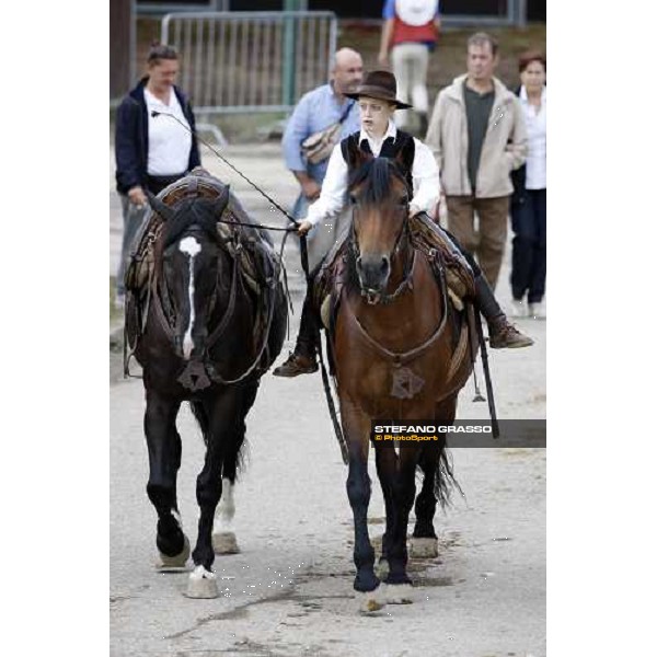 42.a Mostra Nazionale del Cavallo Cittˆ di Castello Cittˆ di Castello, 14th sept. 2008 ph. Stefano Grasso