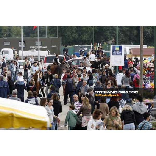 42.a Mostra Nazionale del Cavallo Cittˆ di Castello Cittˆ di Castello, 14th sept. 2008 ph. Stefano Grasso