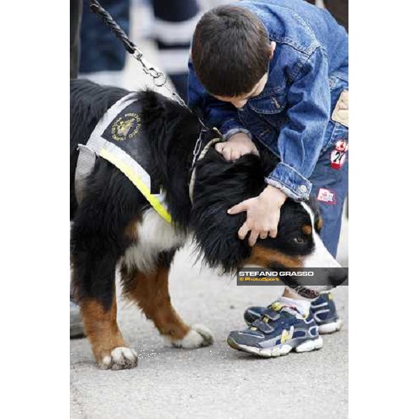 42.a Mostra Nazionale del Cavallo Cittˆ di Castello Cittˆ di Castello, 14th sept. 2008 ph. Stefano Grasso