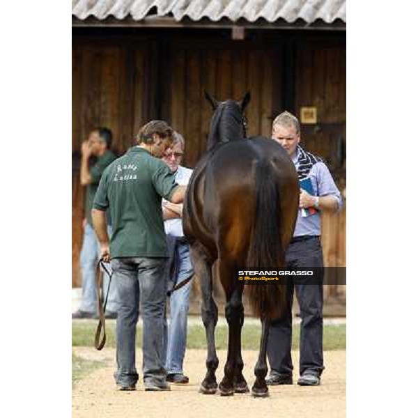 Michael Buckley watching the top price Roelandt Chris Settimo Milanese, 19th sept. 2008 ph. Stefano Grasso
