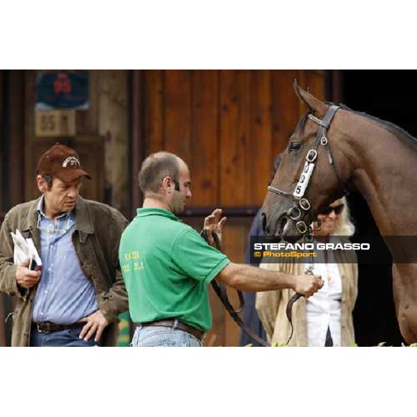 Lino Scarpellini watching Pongo bought at 100.000 euro by all. La Nuova Sbarra Settimo Milanese, 19th sept. 2008 ph. Stefano Grasso