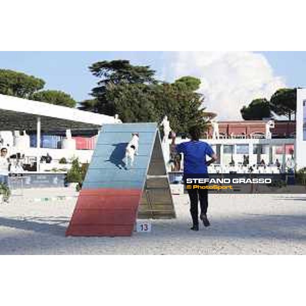 LGCT of Rome - Agility Dog display - Rome, Stadio dei Marmi, 9 September 2018 - ph.Stefano Grasso/LGCT