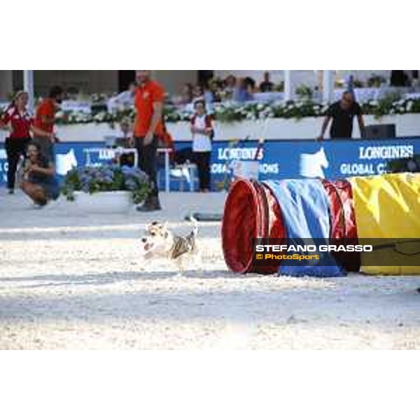 LGCT of Rome - Agility Dog display - Rome, Stadio dei Marmi, 9 September 2018 - ph.Stefano Grasso/LGCT