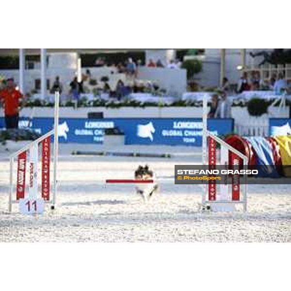 LGCT of Rome - Agility Dog display - Rome, Stadio dei Marmi, 9 September 2018 - ph.Stefano Grasso/LGCT