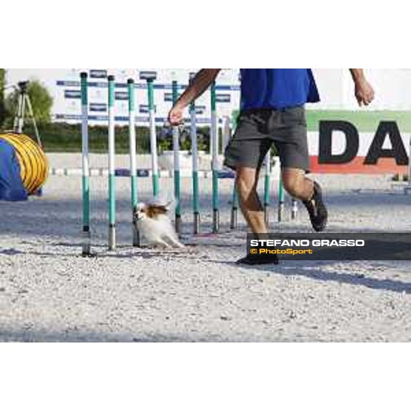 LGCT of Rome - Agility Dog display - Rome, Stadio dei Marmi, 9 September 2018 - ph.Stefano Grasso/LGCT