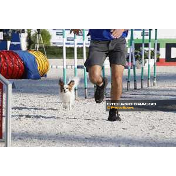 LGCT of Rome - Agility Dog display - Rome, Stadio dei Marmi, 9 September 2018 - ph.Stefano Grasso/LGCT