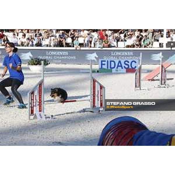 LGCT of Rome - Agility Dog display - Rome, Stadio dei Marmi, 9 September 2018 - ph.Stefano Grasso/LGCT