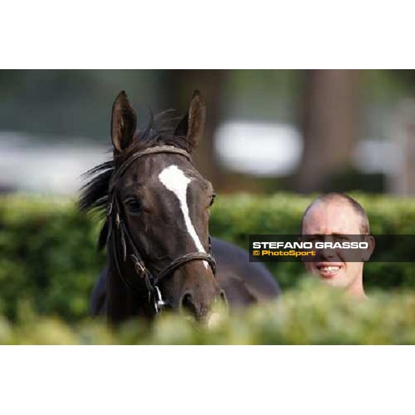 Selected Yearlings Sales Settimo Milanese, 19-20th sept. 2008 ph. Stefano Grasso