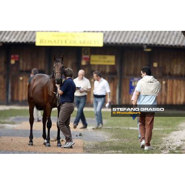 Selected Yearlings Sales Settimo Milanese, 19-20th sept. 2008 ph. Stefano Grasso