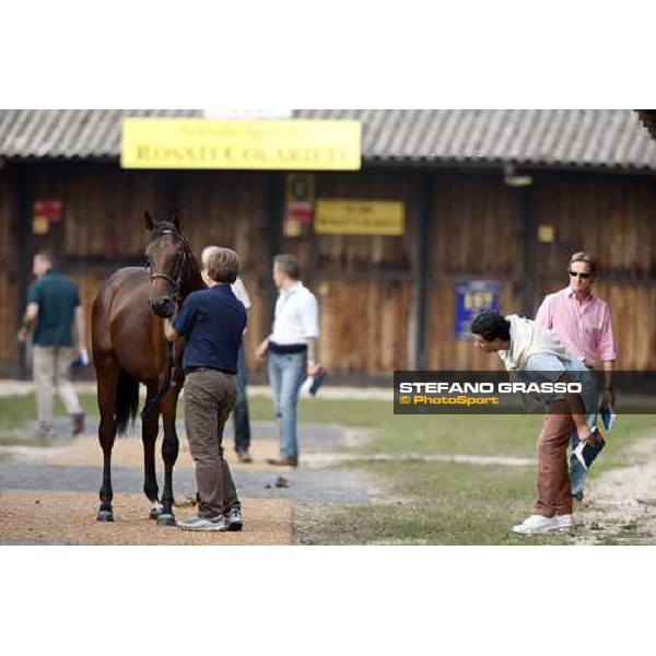 Selected Yearlings Sales Settimo Milanese, 19-20th sept. 2008 ph. Stefano Grasso