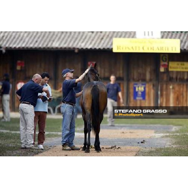 Selected Yearlings Sales Settimo Milanese, 19-20th sept. 2008 ph. Stefano Grasso