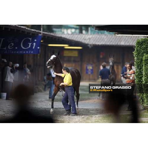 Riccardo Betti at the Selected Yearlings Sales Settimo Milanese, 19-20th sept. 2008 ph. Stefano Grasso