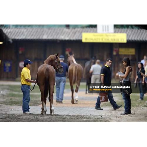 Laura Grizzetti at the Selected Yearlings Sales Settimo Milanese, 19-20th sept. 2008 ph. Stefano Grasso
