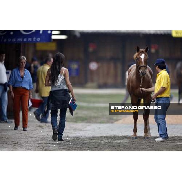 Laura Grizzetti at the Selected Yearlings Sales Settimo Milanese, 19-20th sept. 2008 ph. Stefano Grasso