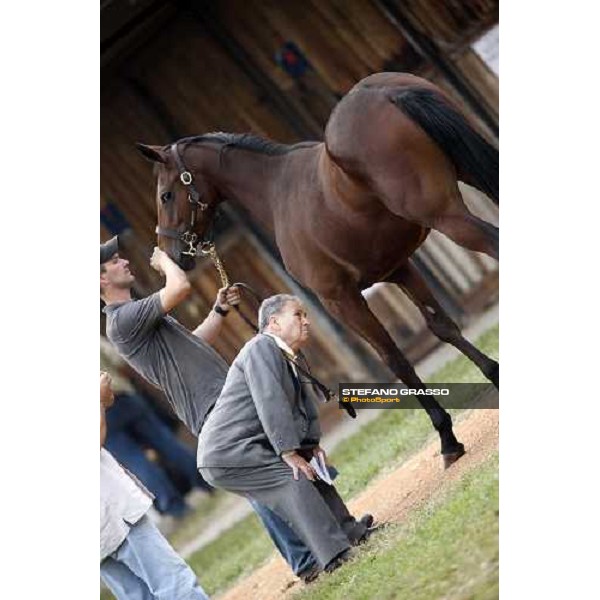 Franco Feligioni at the Selected Yearlings Sales Settimo Milanese, 19-20th sept. 2008 ph. Stefano Grasso