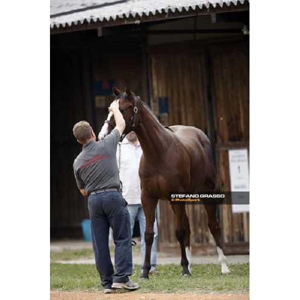 Selected Yearlings Sales Settimo Milanese, 19-20th sept. 2008 ph. Stefano Grasso
