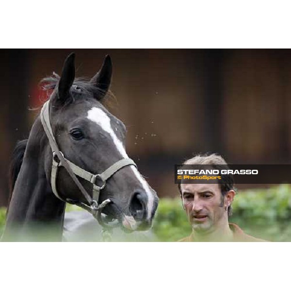 Selected Yearlings Sales Settimo Milanese, 19-20th sept. 2008 ph. Stefano Grasso