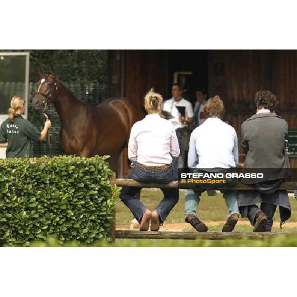 Selected Yearlings Sales Settimo Milanese, 19-20th sept. 2008 ph. Stefano Grasso