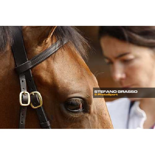 Selected Yearlings Sales Settimo Milanese, 19-20th sept. 2008 ph. Stefano Grasso