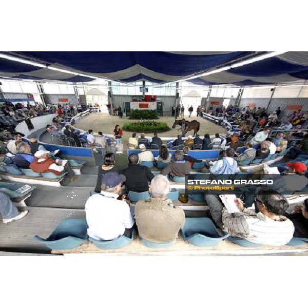 the ring of Selected Yearlings Sales Settimo Milanese, 19-20th sept. 2008 ph. Stefano Grasso