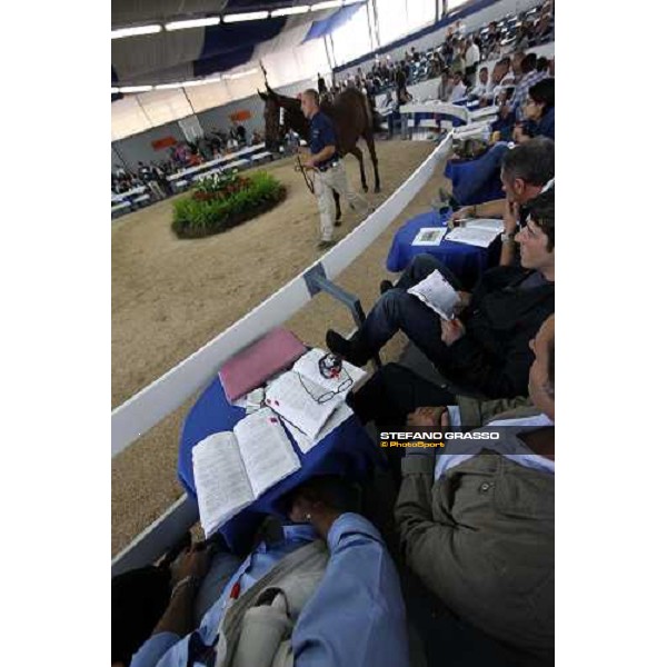 Selected Yearlings Sales Settimo Milanese, 19-20th sept. 2008 ph. Stefano Grasso
