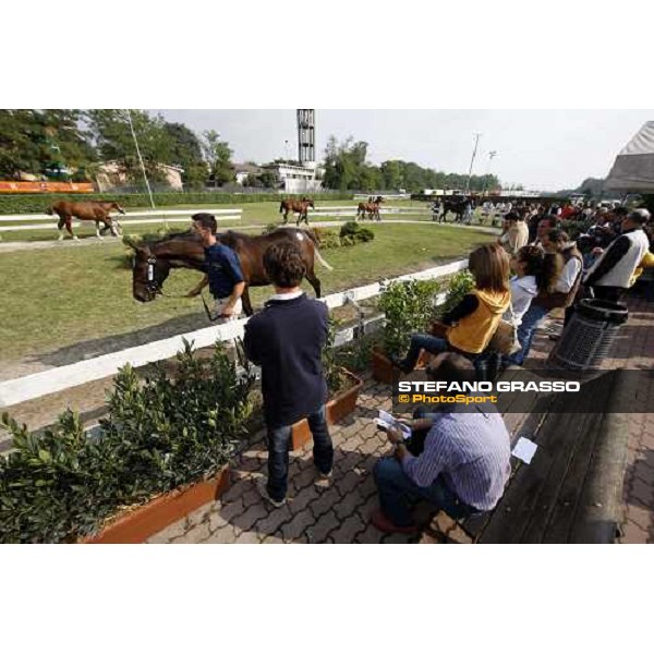 Selected Yearlings Sales Settimo Milanese, 19-20th sept. 2008 ph. Stefano Grasso