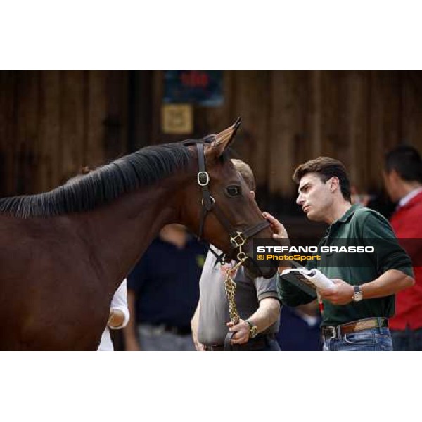 Endo Botti at the Selected Yearlings Sales Settimo Milanese, 19-20th sept. 2008 ph. Stefano Grasso