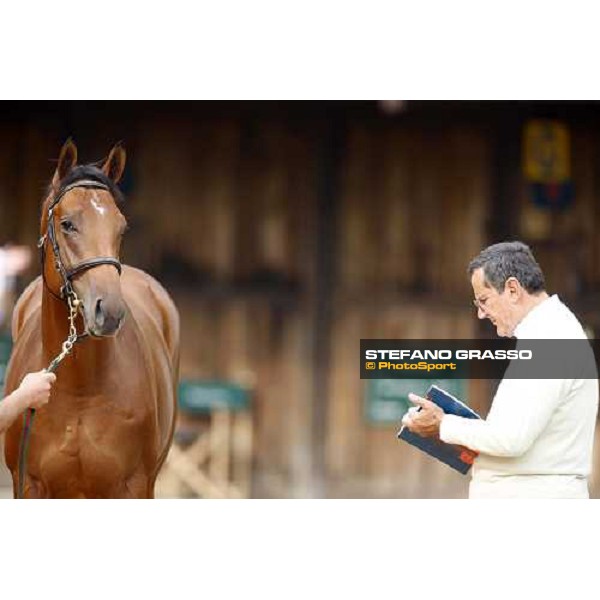 Luciano Salice at the Selected Yearlings Sales Settimo Milanese, 19-20th sept. 2008 ph. Stefano Grasso