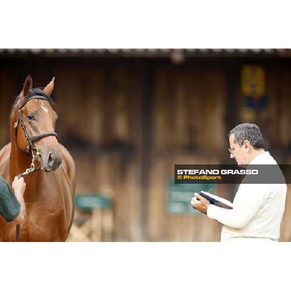 Luciano Salice at the Selected Yearlings Sales Settimo Milanese, 19-20th sept. 2008 ph. Stefano Grasso