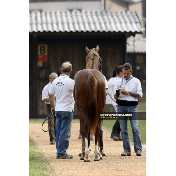 Paolo Paciello at the Selected Yearlings Sales Settimo Milanese, 19-20th sept. 2008 ph. Stefano Grasso