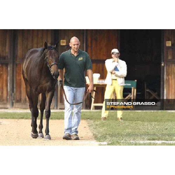 the top price Roelandt Chris at the Selected Yearlings Sales Settimo Milanese, 19-20th sept. 2008 ph. Stefano Grasso