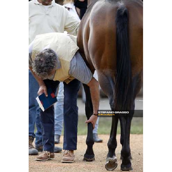 Valfredo Valiani Renzetti at the Selected Yearlings Sales Settimo Milanese, 19-20th sept. 2008 ph. Stefano Grasso