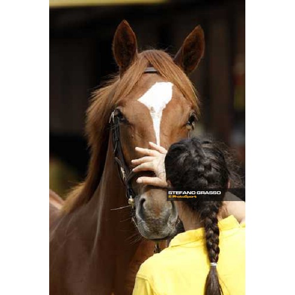 Selected Yearlings Sales Settimo Milanese, 19-20th sept. 2008 ph. Stefano Grasso