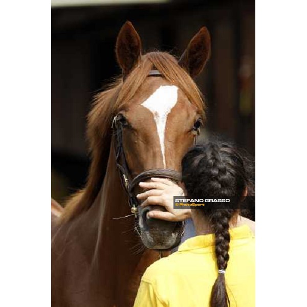 Selected Yearlings Sales Settimo Milanese, 19-20th sept. 2008 ph. Stefano Grasso