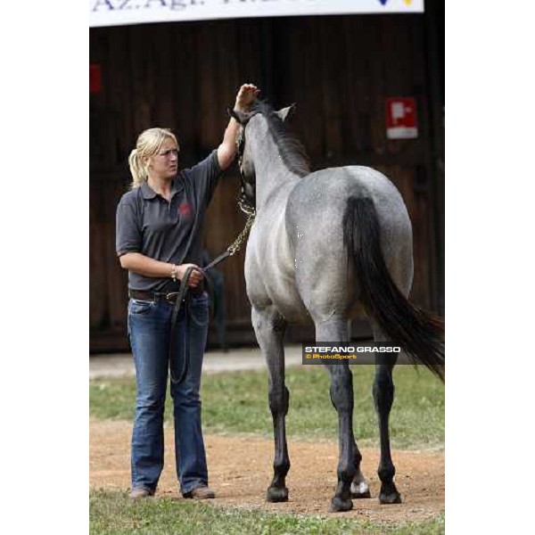 Selected Yearlings Sales Settimo Milanese, 19-20th sept. 2008 ph. Stefano Grasso