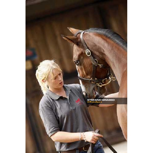 Selected Yearlings Sales Settimo Milanese, 19-20th sept. 2008 ph. Stefano Grasso