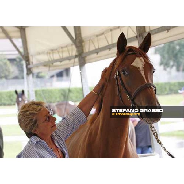Franca Vittadini at the Selected Yearlings Sales Settimo Milanese, 19-20th sept. 2008 ph. Stefano Grasso