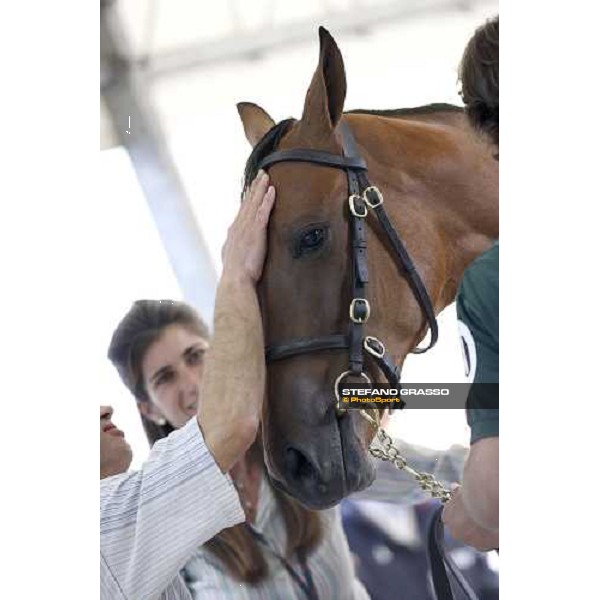 Selected Yearlings Sales Settimo Milanese, 19-20th sept. 2008 ph. Stefano Grasso