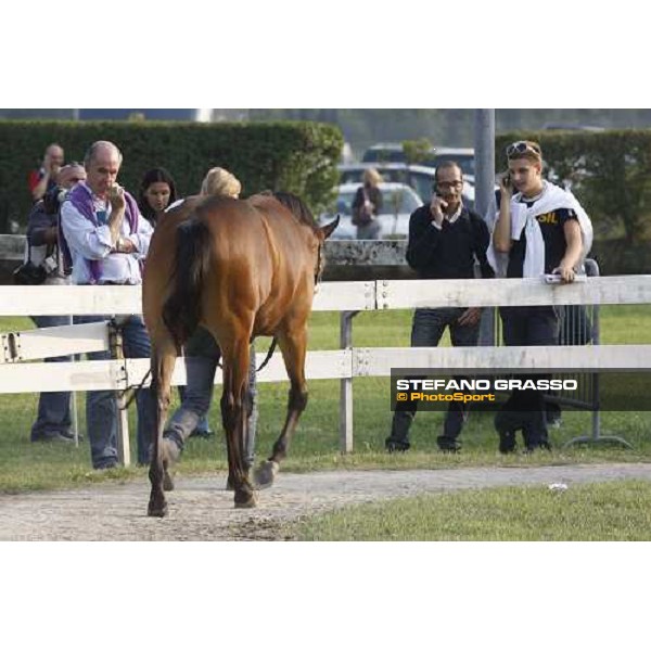 Stefano Landi at the Selected Yearlings Sales Settimo Milanese, 19-20th sept. 2008 ph. Stefano Grasso
