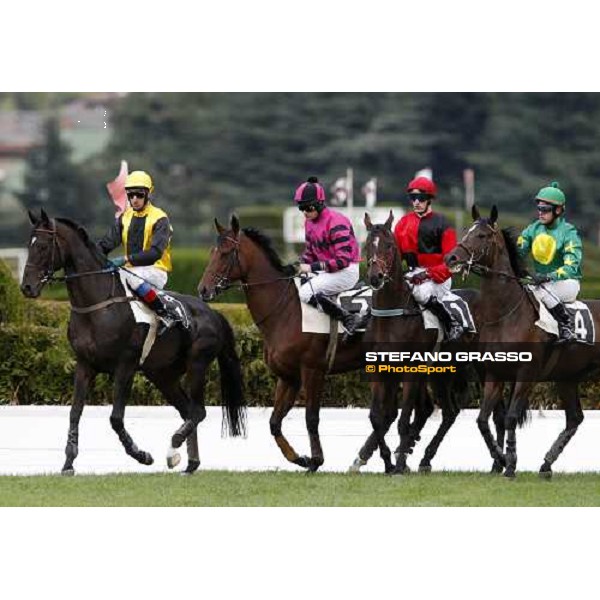 start of the 64¡ Premio delle Nazioni - Mem. M. Rocca , from left. Fatal Mac, Sir Bahhare, Black Diamond and Jaroslawiec Merano Maia, 26th sept. 2008 ph. Stefano Grasso