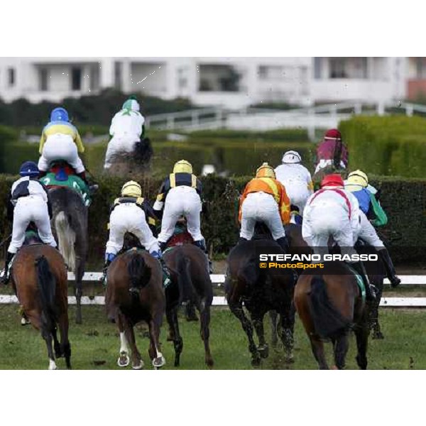 L\' As de Pembo leads followed by Sharstar during a jump in the 69.¡ Gran Premio Merano Forst Merano, 28th sep. 2008 ph. Stefano Grasso