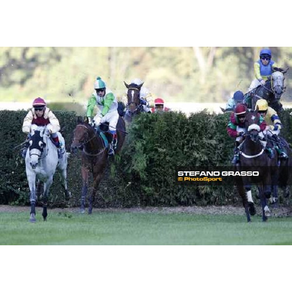 Kan Nejs leads followed by L\' As de Pembo and Sharstar during a jump in the 69.¡ Gran Premio Merano Forst Merano, 28th sep. 2008 ph. Stefano Grasso