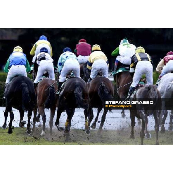 Sharstar, L\' As de Pembo and the group during a jump in the 69.¡ Gran Premio Merano Forst Merano, 28th sep. 2008 ph. Stefano Grasso